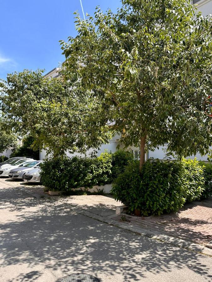 Apartment Tranquilo Split Dış mekan fotoğraf